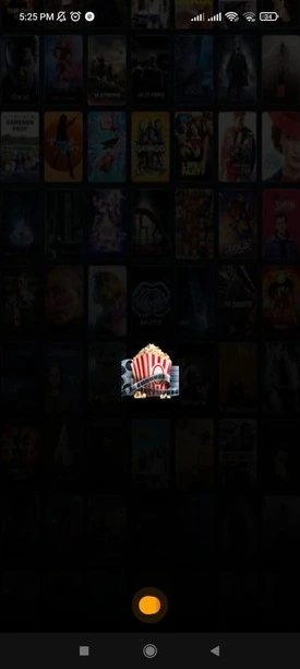 desi cinema app screenshot